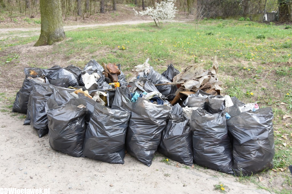 Akcja sprzątania Zawiśla