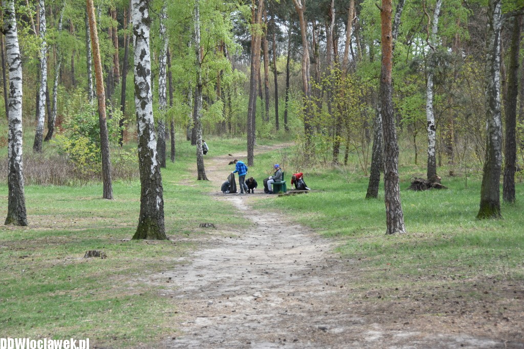 Akcja sprzątania Zawiśla