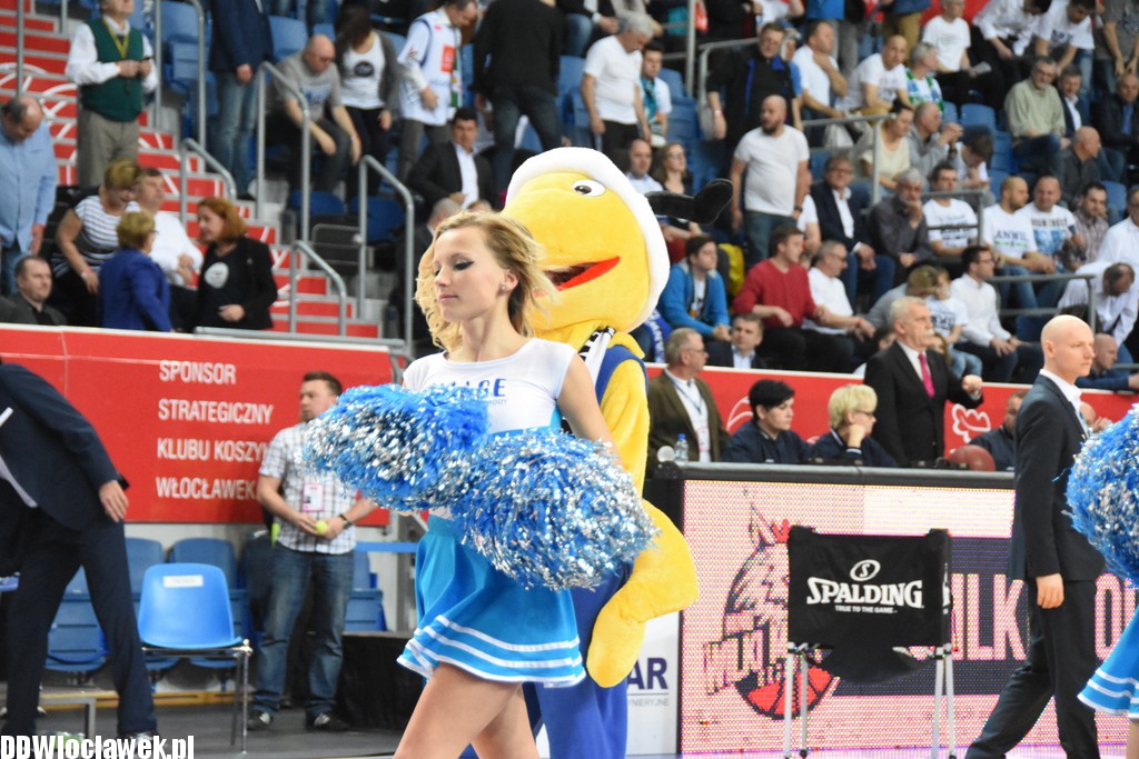 Cheerleaderki na meczu z Wilkami