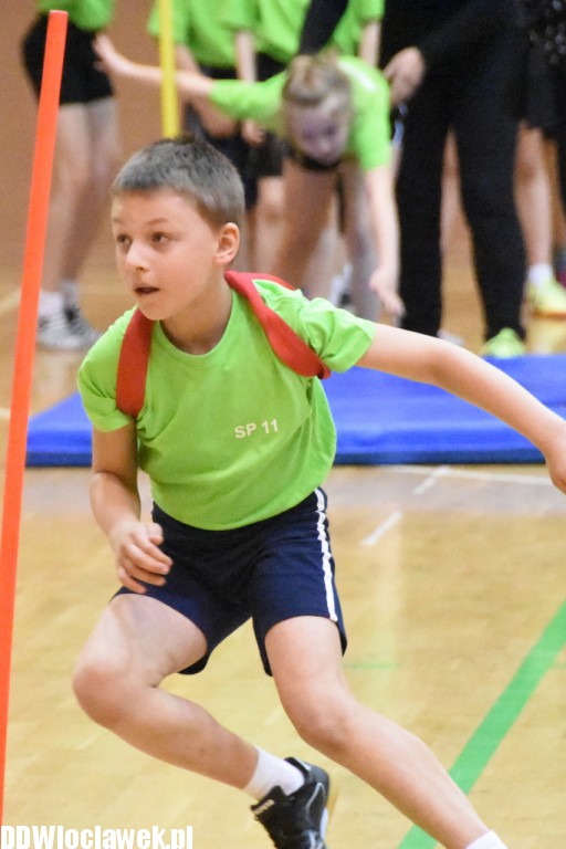 Finał sprawnego misia w hali OSiR