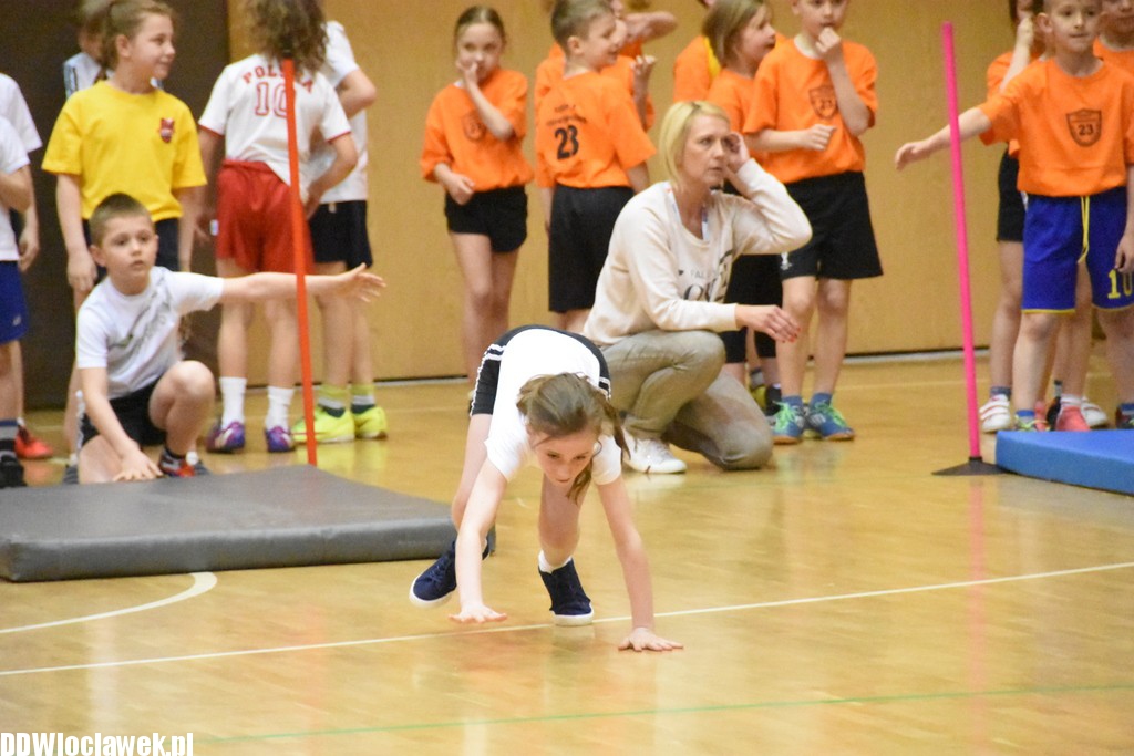 Finał sprawnego misia w hali OSiR