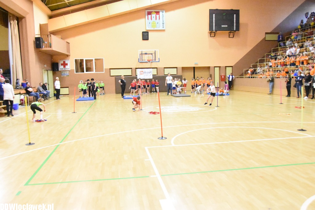 Finał sprawnego misia w hali OSiR