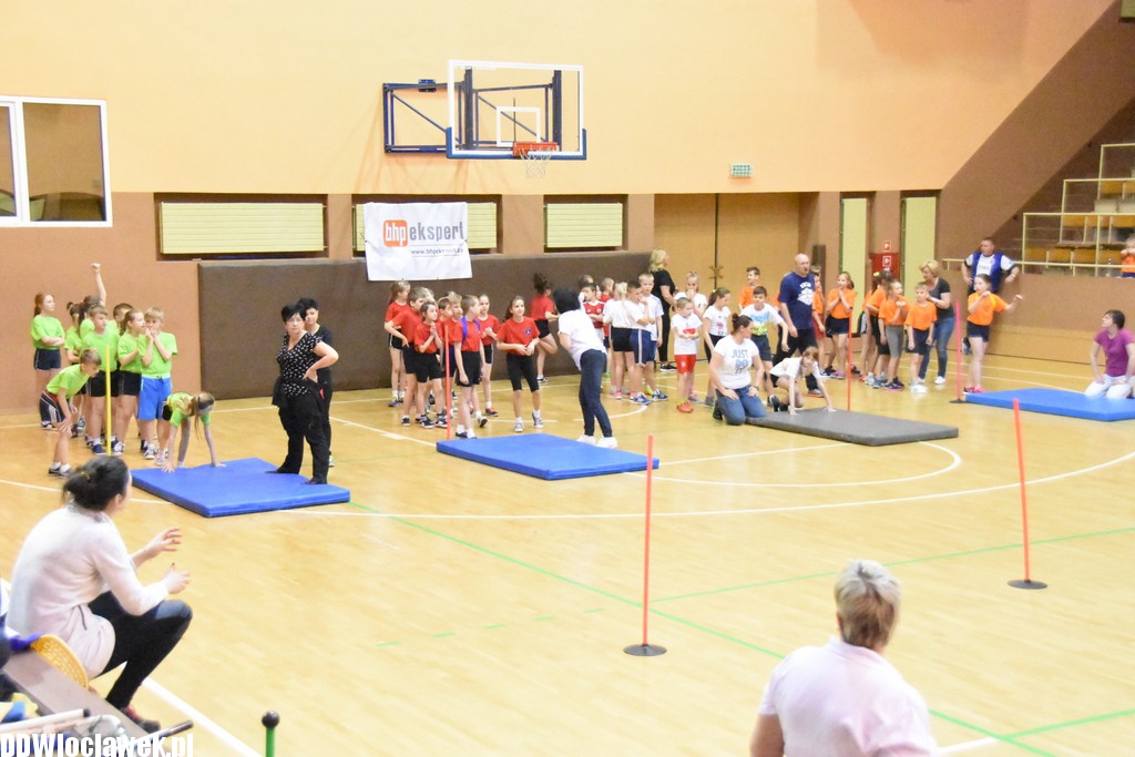 Finał sprawnego misia w hali OSiR
