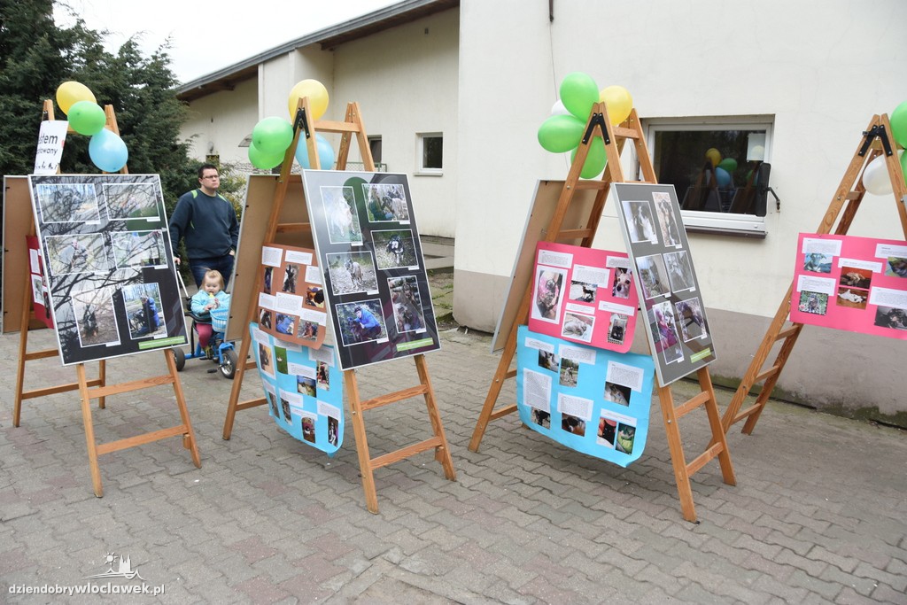 Piknik w schronisku dla zwierząt