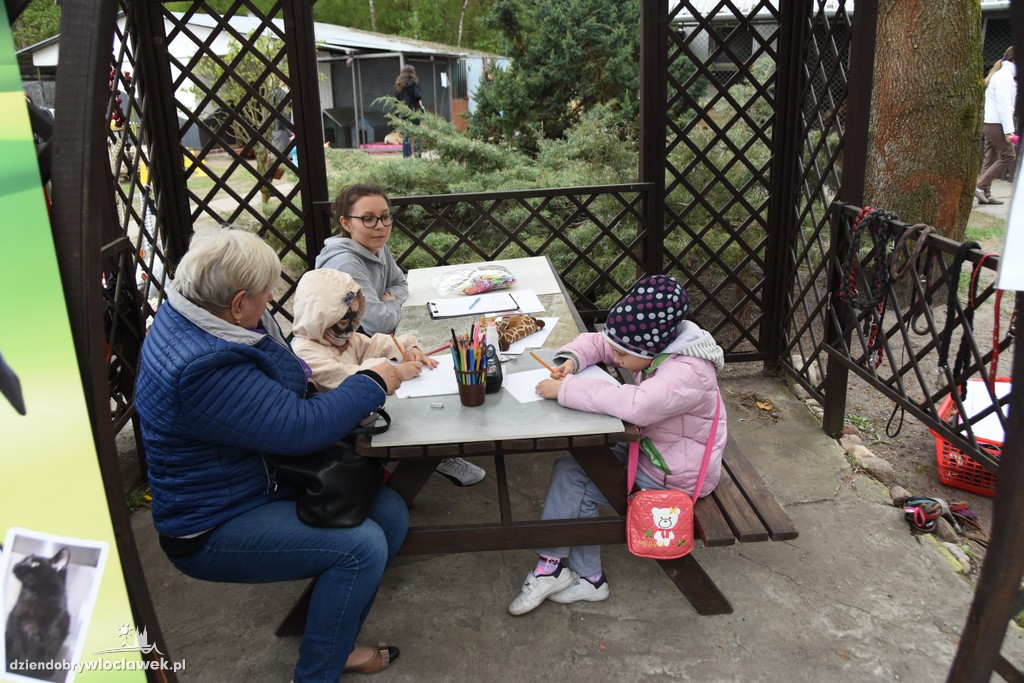 Piknik w schronisku dla zwierząt