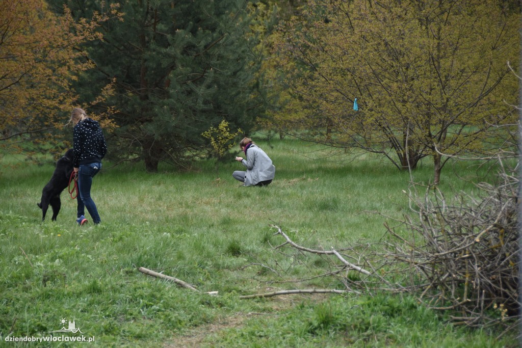 Piknik w schronisku dla zwierząt