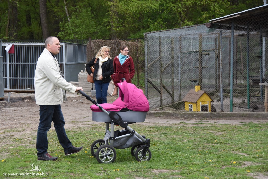 Piknik w schronisku dla zwierząt