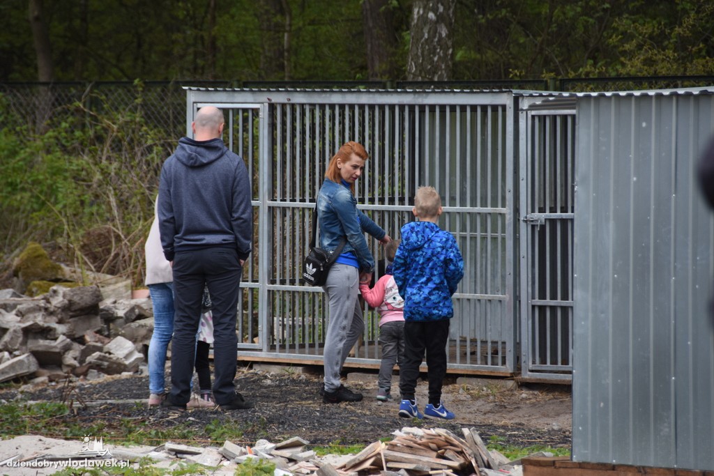 Piknik w schronisku dla zwierząt