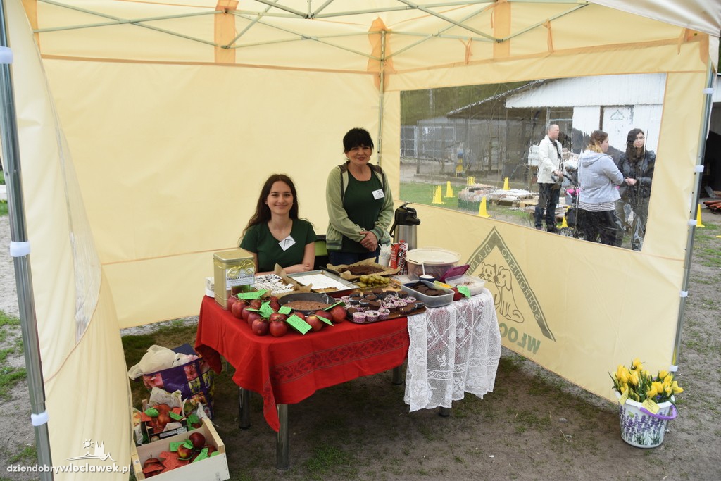 Piknik w schronisku dla zwierząt
