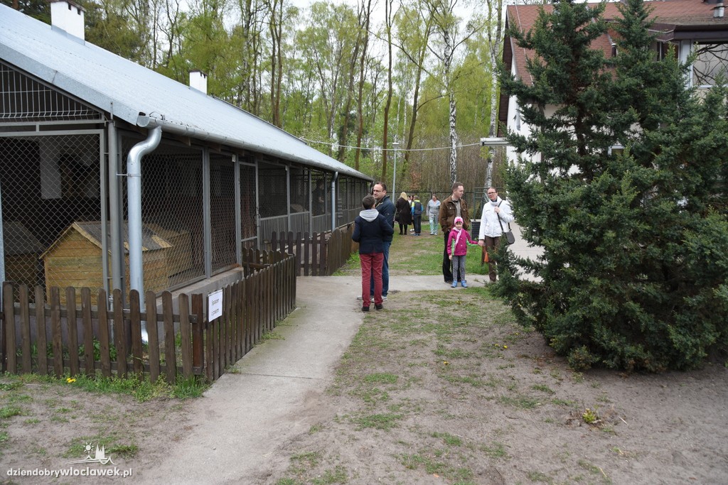 Piknik w schronisku dla zwierząt