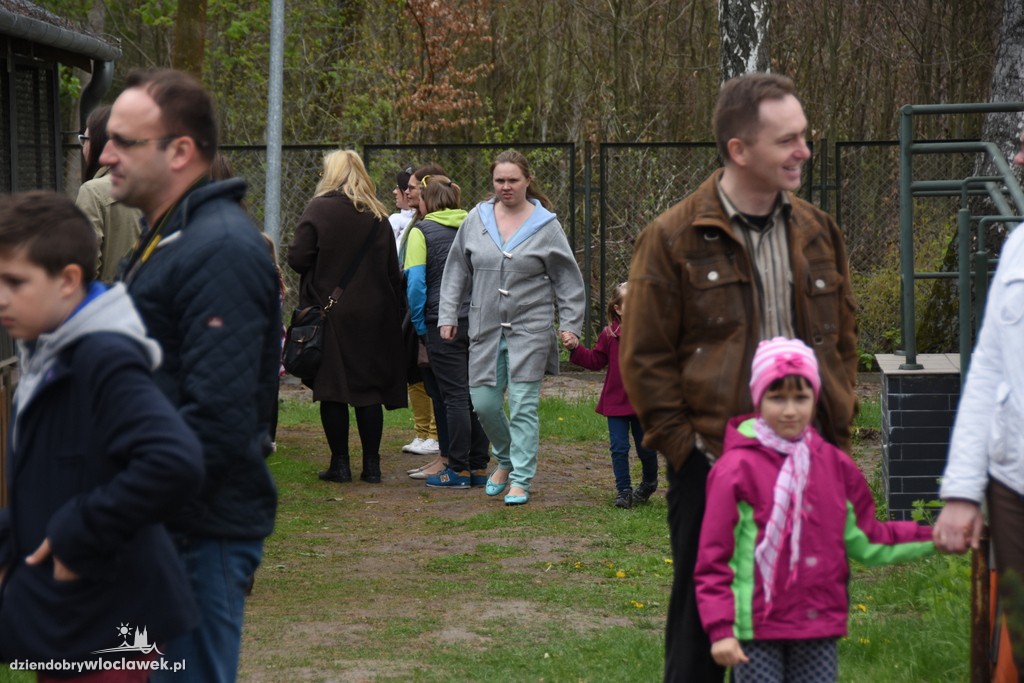 Piknik w schronisku dla zwierząt