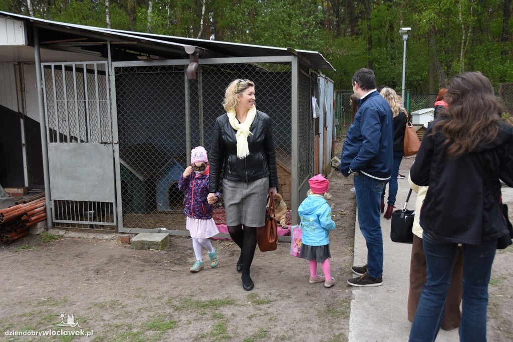 Piknik w schronisku dla zwierząt