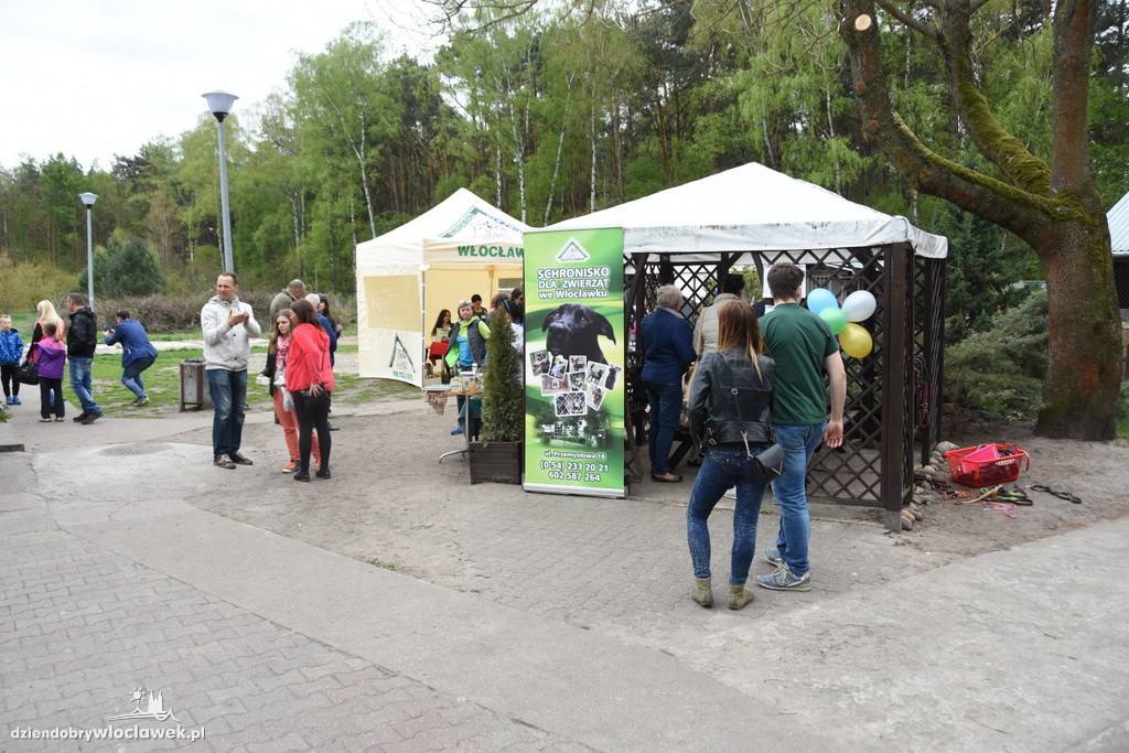Piknik w schronisku dla zwierząt
