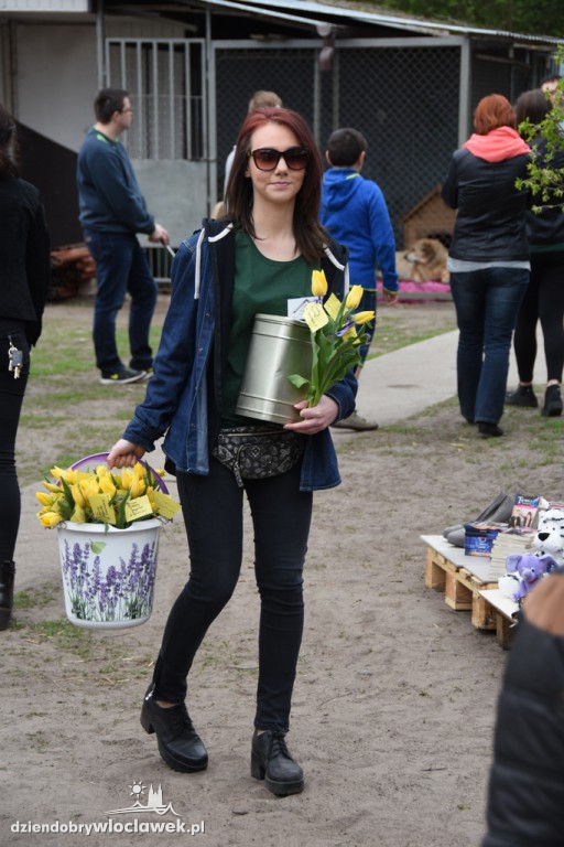 Piknik w schronisku dla zwierząt