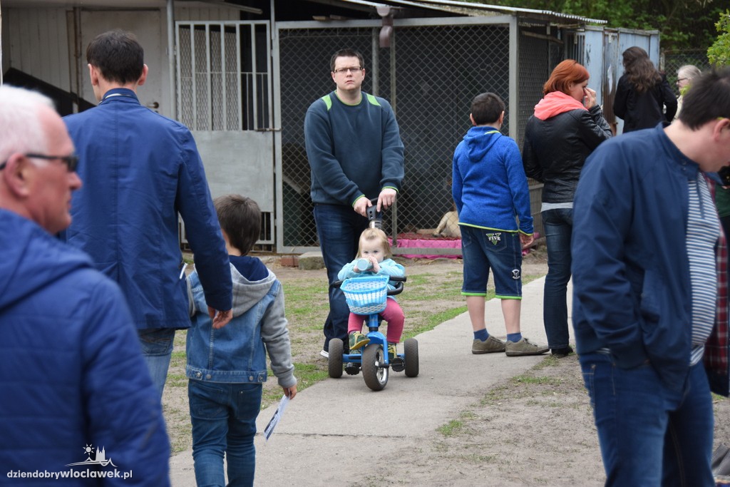 Piknik w schronisku dla zwierząt