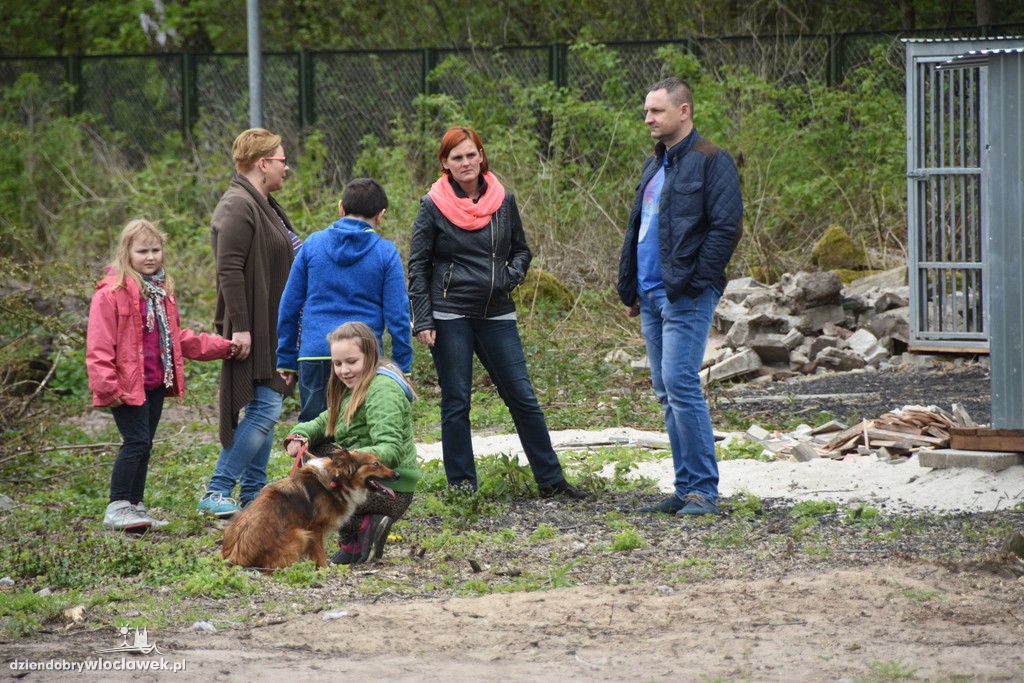 Piknik w schronisku dla zwierząt