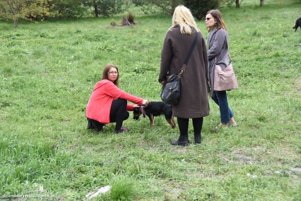 Piknik w schronisku dla zwierząt