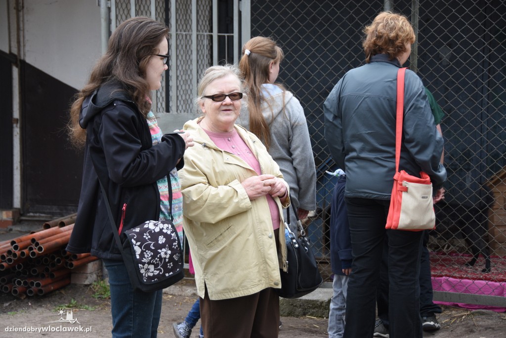 Piknik w schronisku dla zwierząt