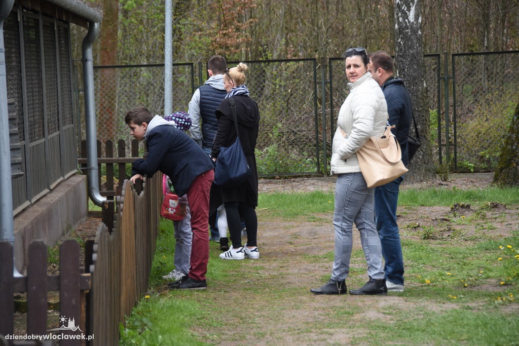 Piknik w schronisku dla zwierząt
