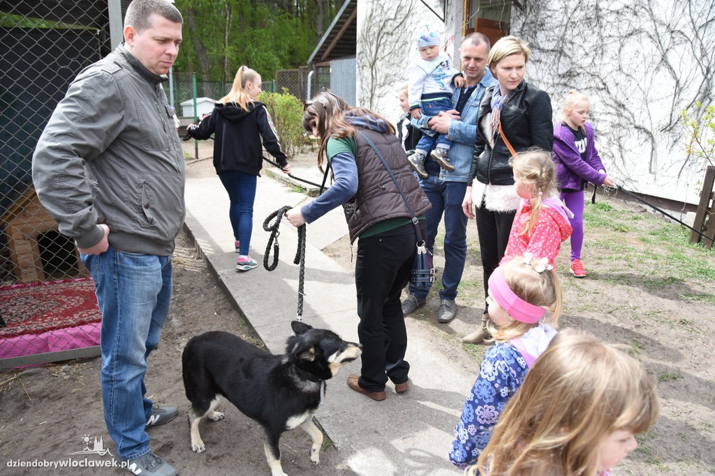 Piknik w schronisku dla zwierząt