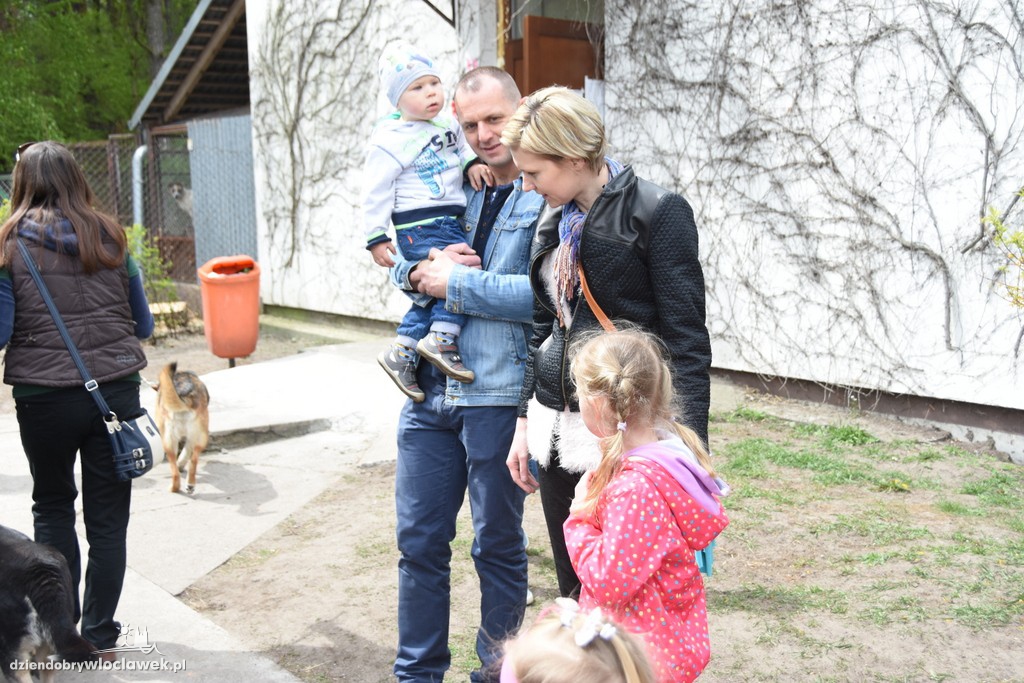 Piknik w schronisku dla zwierząt