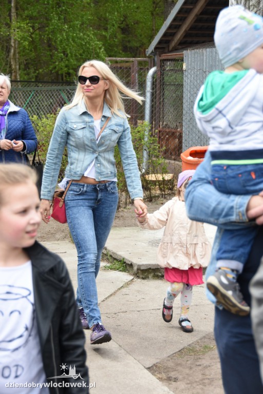Piknik w schronisku dla zwierząt