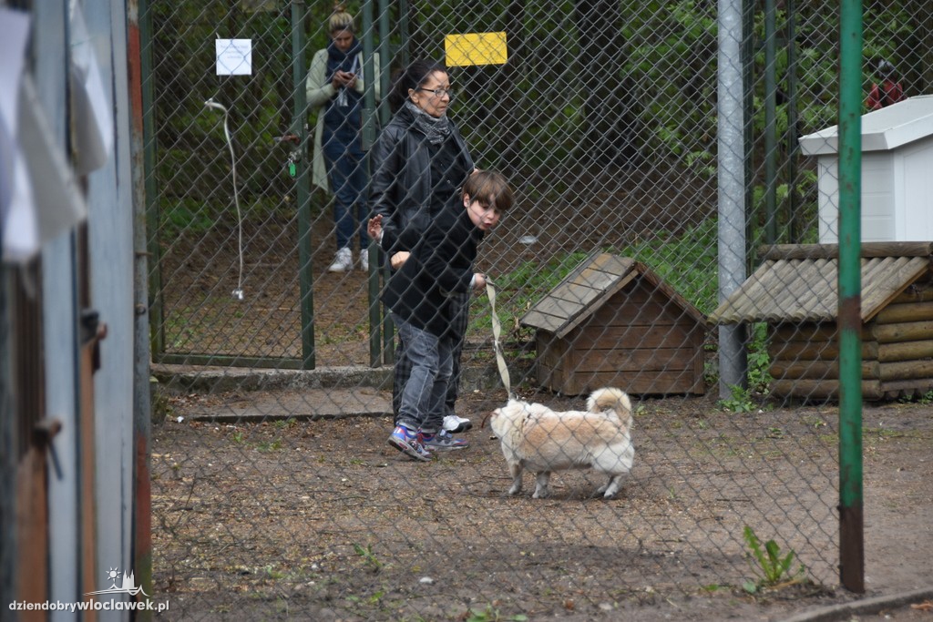 Piknik w schronisku dla zwierząt