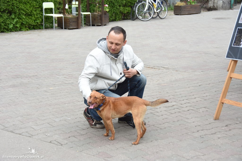 Piknik w schronisku dla zwierząt