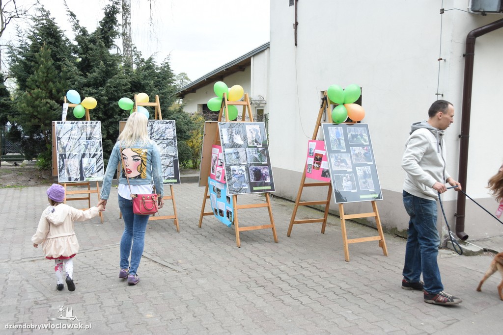 Piknik w schronisku dla zwierząt