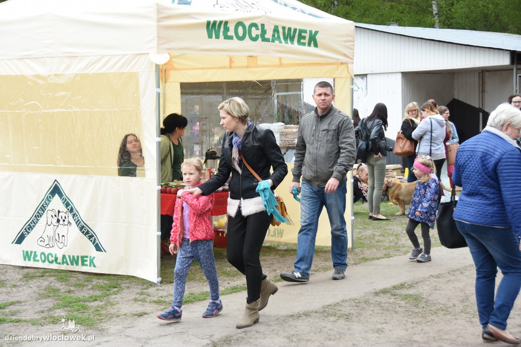 Piknik w schronisku dla zwierząt