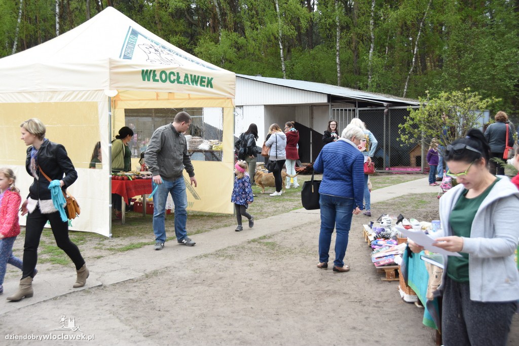 Piknik w schronisku dla zwierząt