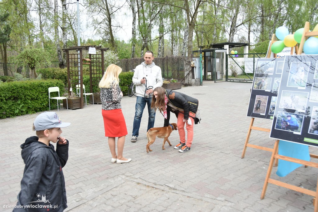Piknik w schronisku dla zwierząt