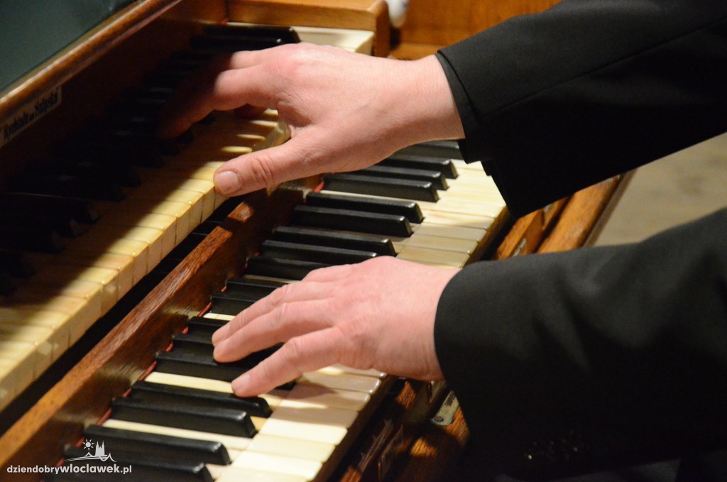 Koncert organowy w katedrze