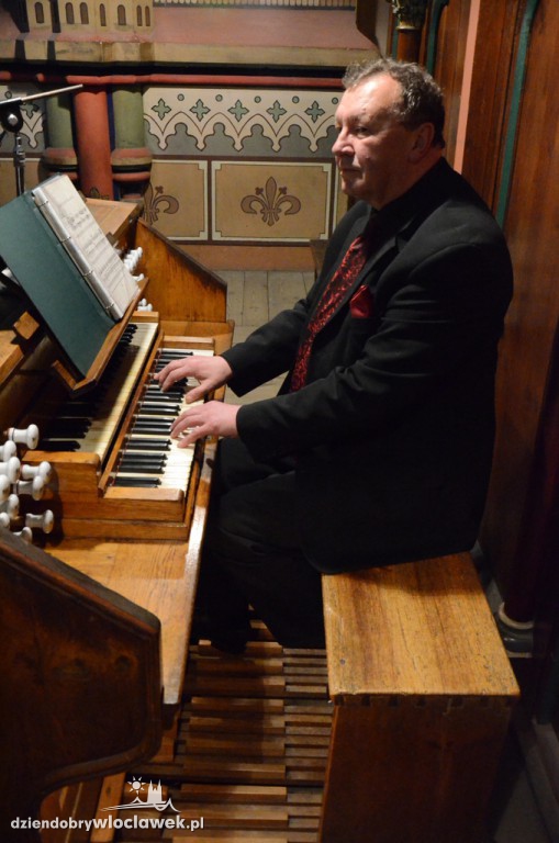 Koncert organowy w katedrze