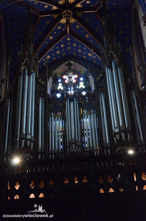 Koncert organowy w katedrze