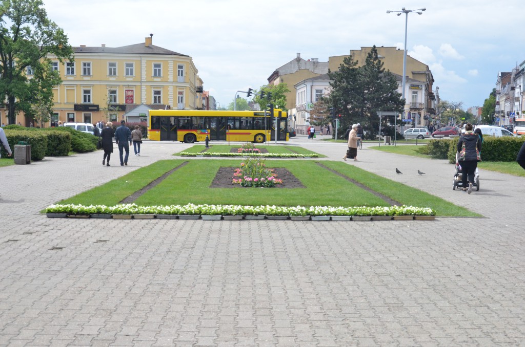 Nowe kwiaty na placu Wolności