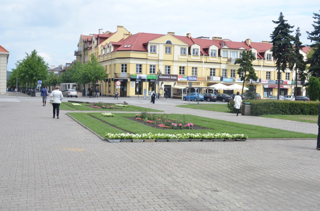 Nowe kwiaty na placu Wolności