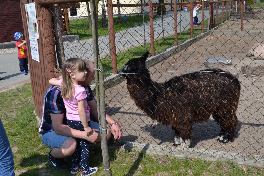 Piknik w Goreniu Dużym