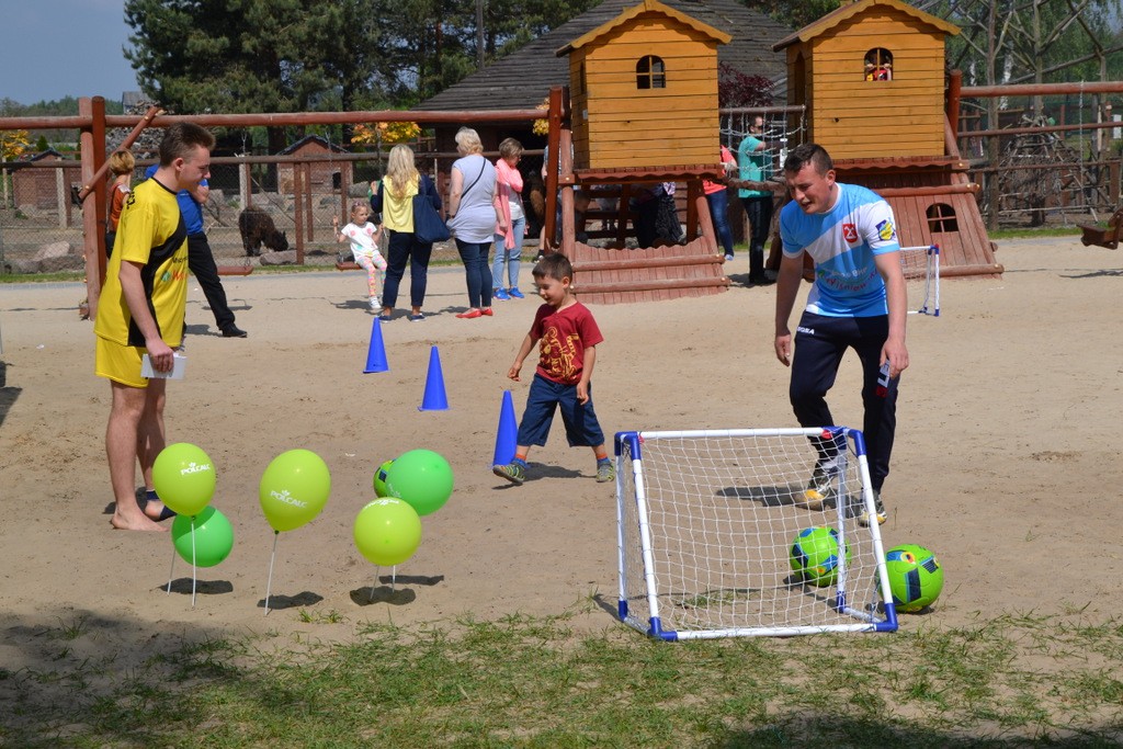 Piknik w Goreniu Dużym