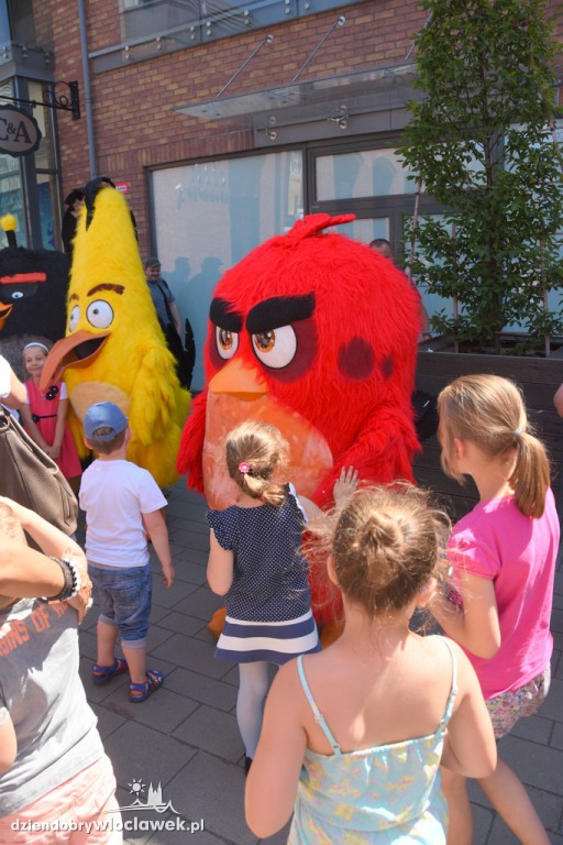 Angry Birds we Wzorcowni