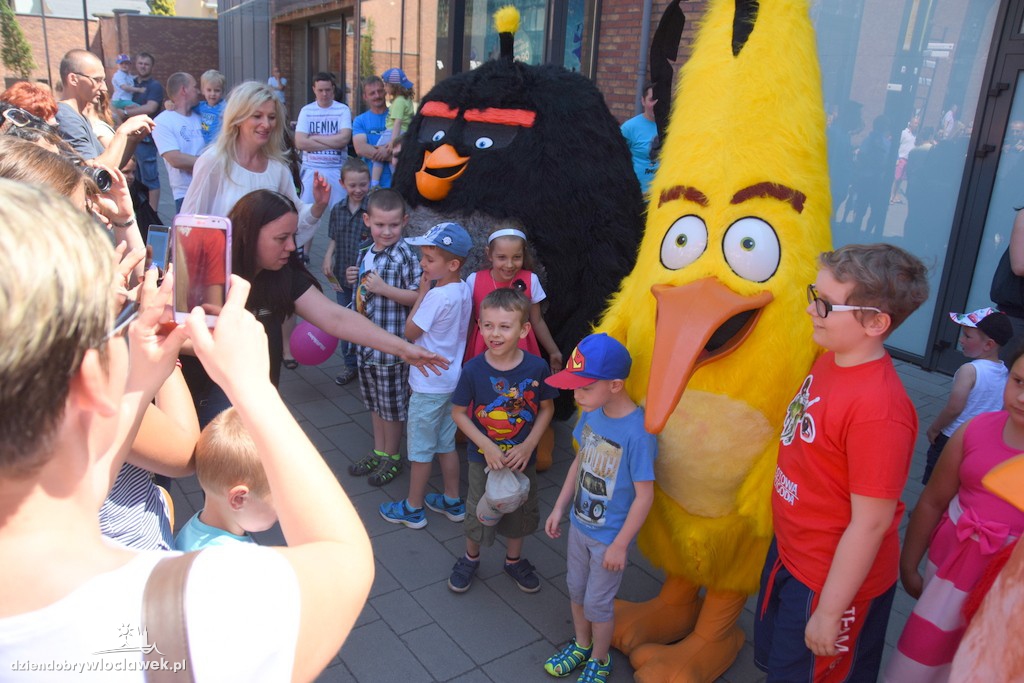 Angry Birds we Wzorcowni