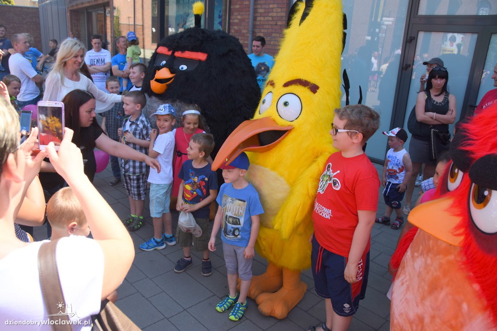 Angry Birds we Wzorcowni