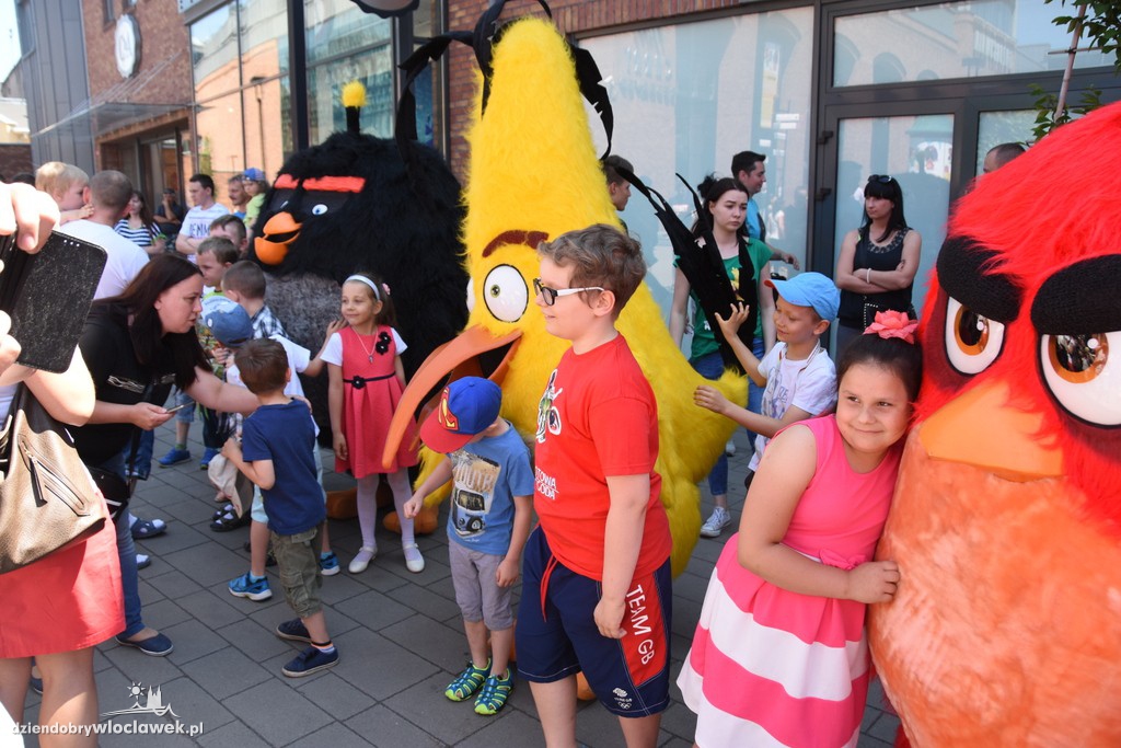 Angry Birds we Wzorcowni