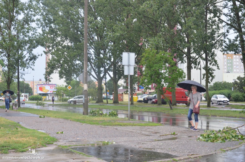 Przewrócone drzewa po ulewie