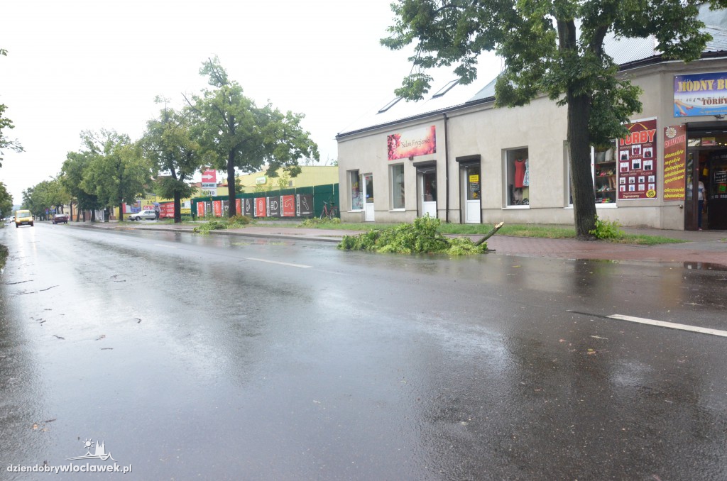 Przewrócone drzewa po ulewie