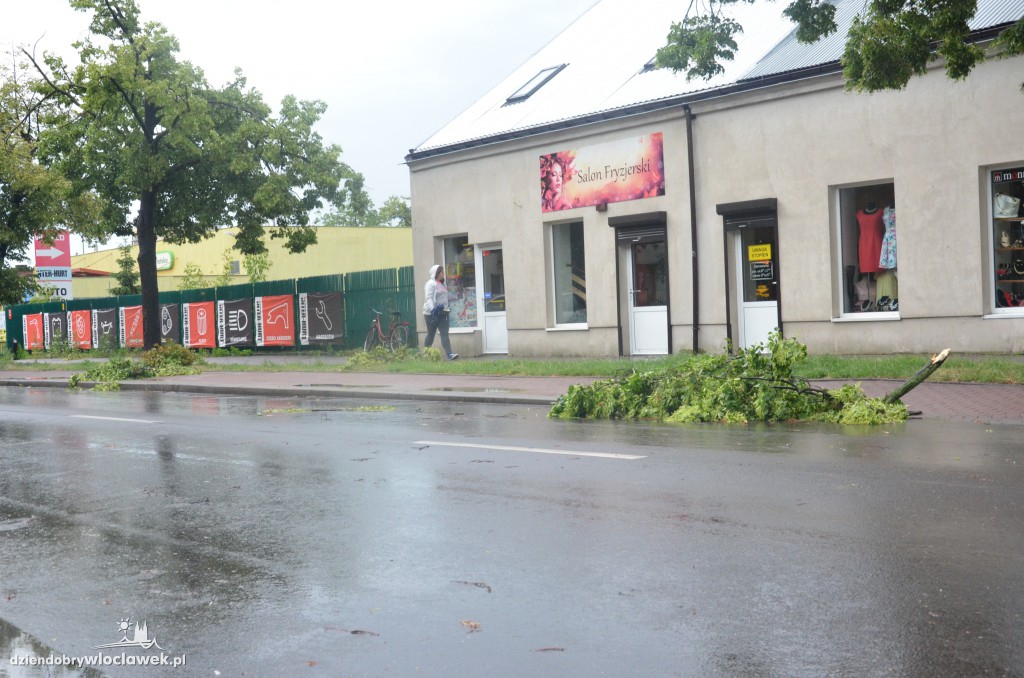 Przewrócone drzewa po ulewie