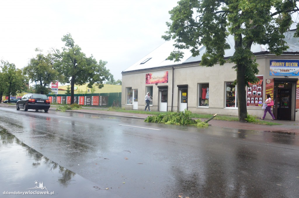 Przewrócone drzewa po ulewie