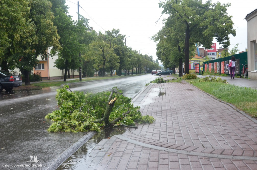 Przewrócone drzewa po ulewie