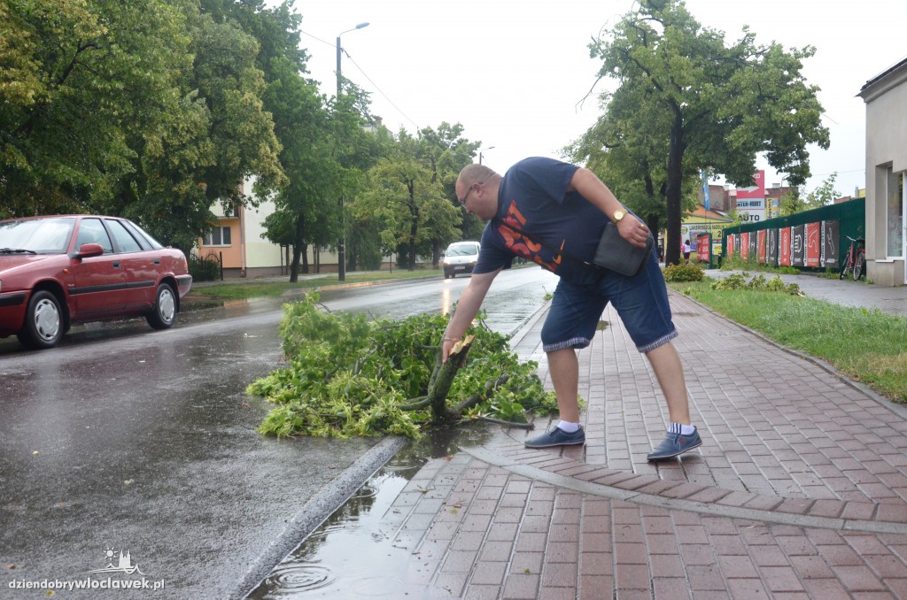 Przewrócone drzewa po ulewie
