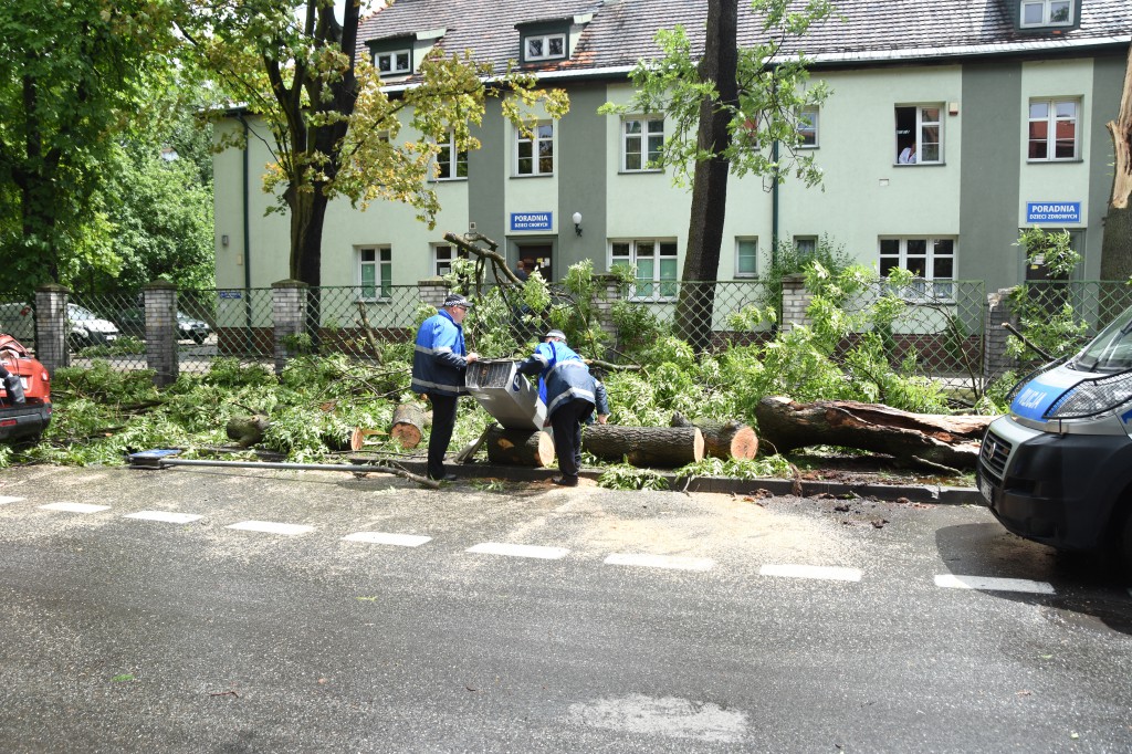 Powalone drzewa uszkodziły auta